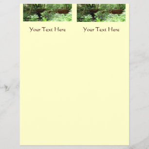 Prospectus 21,6 Cm X 24,94 Cm Pont de Muir Woods I