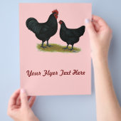 Prospectus 21,6 Cm X 24,94 Cm Poulets géants Jersey (main)