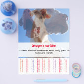 Prospectus 21,6 Cm X 24,94 Cm Pour vendre Dane Puppies Flyer (Simple)