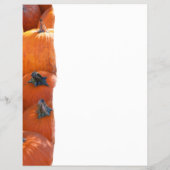 Prospectus 21,6 Cm X 24,94 Cm Pumpkin Patch (Dos)
