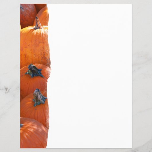 Prospectus 21,6 Cm X 24,94 Cm Pumpkin Patch (Devant)