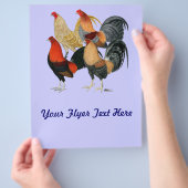 Prospectus 21,6 Cm X 24,94 Cm Quatre gamecocks (main)