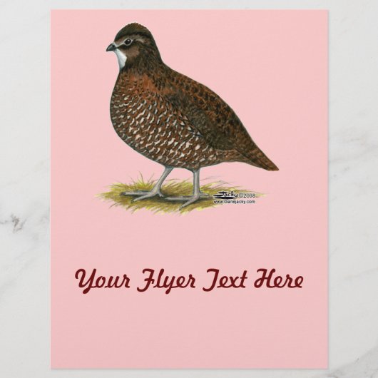 Prospectus 21,6 Cm X 24,94 Cm Queue rouge du Tennessee (Devant)