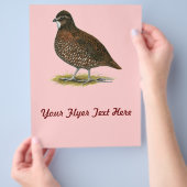 Prospectus 21,6 Cm X 24,94 Cm Queue rouge du Tennessee (main)