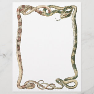 Prospectus 21,6 Cm X 24,94 Cm Reptiles Anciens, Bordure de Serpents entrelacés o
