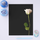 Prospectus 21,6 Cm X 24,94 Cm Rose blanche unique sur fond noir (Simple)