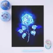 Prospectus 21,6 Cm X 24,94 Cm Rose bleu brûlant (Simple)