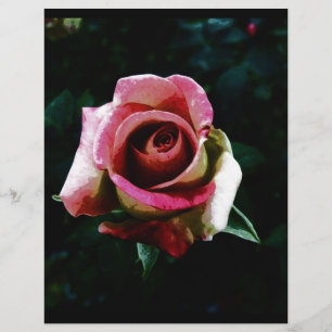 Prospectus 21,6 Cm X 24,94 Cm Rose Peinte à l'Huile