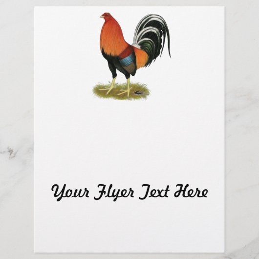 Prospectus 21,6 Cm X 24,94 Cm Roster de Gamecock Wheaten (Devant)