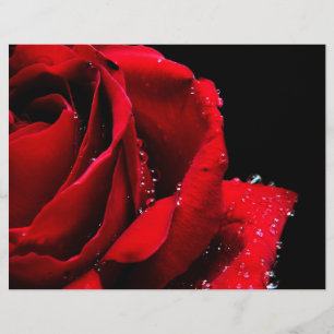 Prospectus 21,6 Cm X 24,94 Cm Rouge