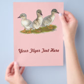 Prospectus 21,6 Cm X 24,94 Cm Saxe Ducklings (main)