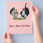 Prospectus 21,6 Cm X 24,94 Cm Serama Bantams (main)