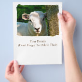 PROSPECTUS 21,6 CM X 24,94 CM SHEEP (main)