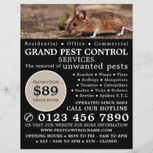 Prospectus 21,6 Cm X 24,94 Cm Souris, Lutte antiparasitaire Publicité