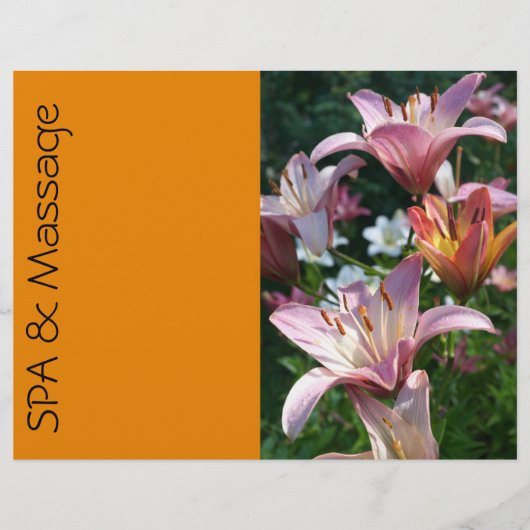 Prospectus 21,6 Cm X 24,94 Cm SPA et massage (Devant)
