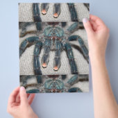 Prospectus 21,6 Cm X 24,94 Cm tarentule bleue (main)