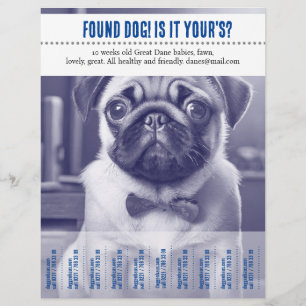 Prospectus 21,6 Cm X 24,94 Cm Tear Off vendant un dépliant 