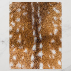 Prospectus 21,6 Cm X 24,94 Cm texture de fourrure de cerf tacheté