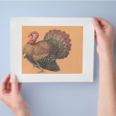 Prospectus 21,6 Cm X 24,94 Cm Thanksgiving Turquie (main)