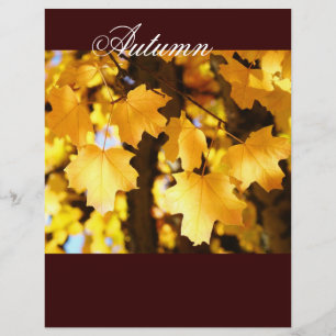 Prospectus 21,6 Cm X 24,94 Cm Thème d'automne papier Jaune Feuilles d'arbre