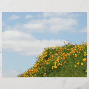 Prospectus 21,6 Cm X 24,94 Cm Theme Paper Flyers Blue Sky White Clouds Poppies
