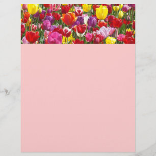 Prospectus 21,6 Cm X 24,94 Cm Thèmes de papier de dépliant de printemps Tulipe F