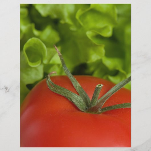 Prospectus 21,6 Cm X 24,94 Cm Tomate (Devant)