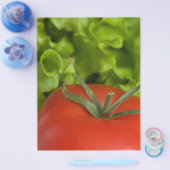 Prospectus 21,6 Cm X 24,94 Cm Tomate (Simple)