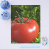 Prospectus 21,6 Cm X 24,94 Cm Tomate (Simple)