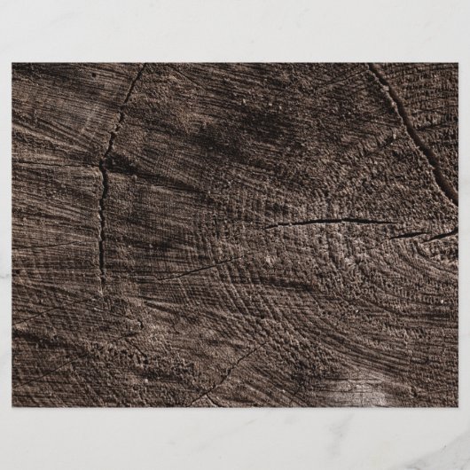Prospectus 21,6 Cm X 24,94 Cm Tree stump (Devant)