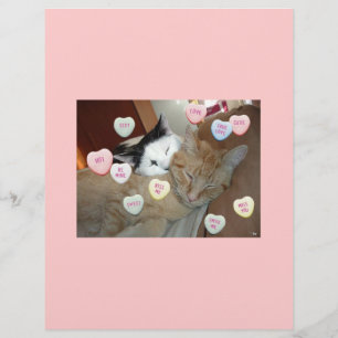 Prospectus 21,6 Cm X 24,94 Cm Valentine's Day Kittens
