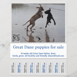 Prospectus 21,6 Cm X 24,94 Cm Vendeur Afficheur