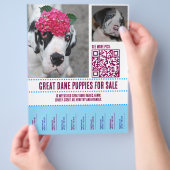 prospectus à vendre (main)