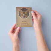 prospectus Amoureux des chats (main)