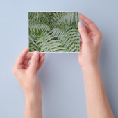 Prospectus Groen Flyer (Hand)