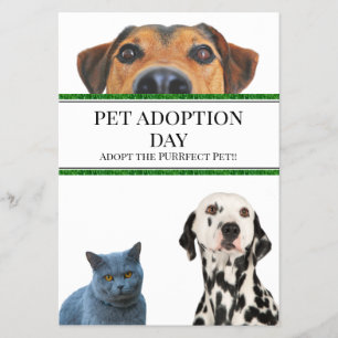 Prospectus Jour de l'adoption des animaux
