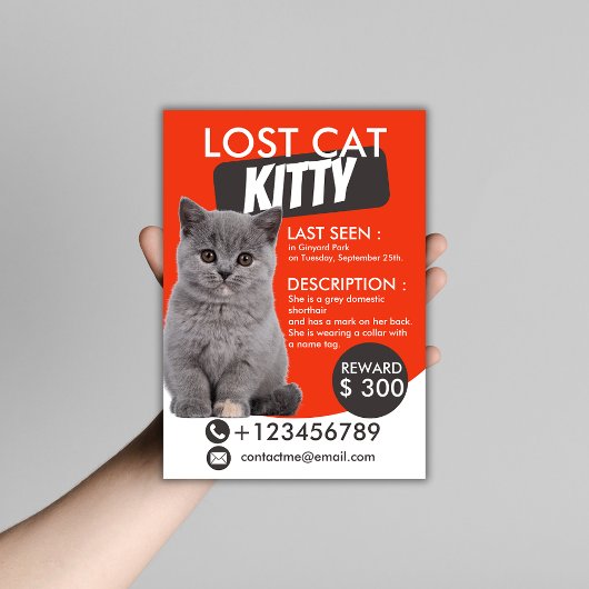 Prospectus Modèle de circulaire pour chat perdu - Animaux de