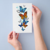 Prospectus Papillons volants Morpho et Monarch (Poignée)
