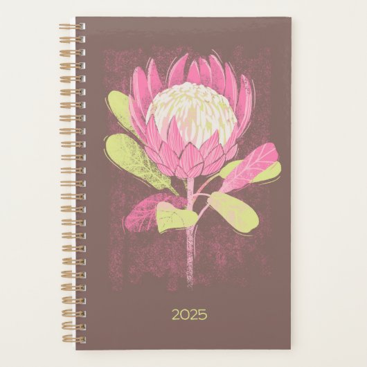 Protea (Devant)