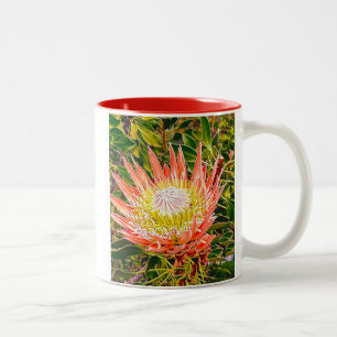 Protea Australische bloemfotografie Tweekleurige Koffiemok