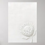 Protea blanche impression d'art botanique en ligne (Devant)
