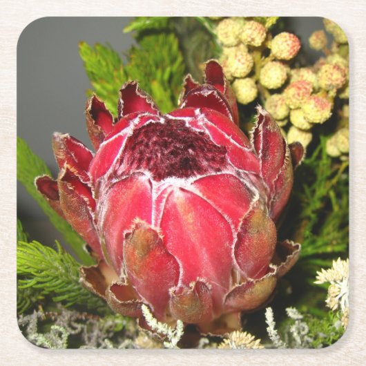 Protea Bouquet Vierkante Kartonnen Onderzetter (Voorkant)