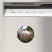 Protea Flower Hawaii Magnet (In Situ (Lave-vaisselle))