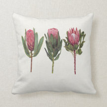  Protea kussen