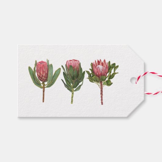 Protea Label Cadeaulabel (Voorkant (Horizontaal))