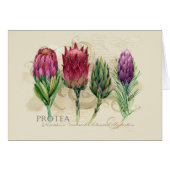 Protea Notecard (Voorkant Horizontaal)