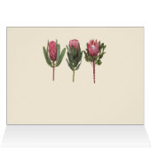 Protea Notecard (Binnen Horizontaal (Boven))