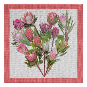 Protea Poster Perfect Poster