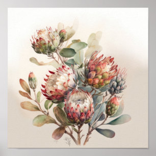 Protea Suikerstruiken Bloemenkunst Print Poster