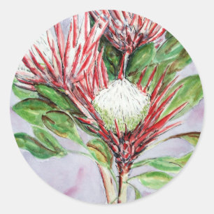 Proteas Ronde Sticker